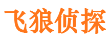 从江市场调查